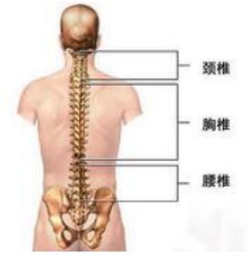 未分化脊柱关节病