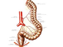 肠系膜囊肿