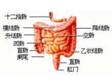 结肠恶性肿瘤