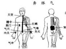 奔豚气