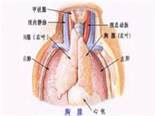 尼兹诺夫综合征