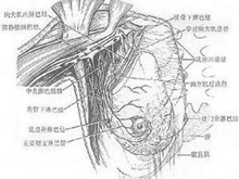 胸壁软组织损伤