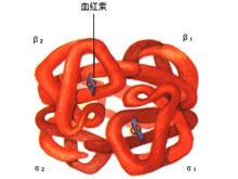 高铁血红蛋白血症