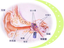 延迟性应激反应