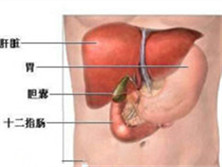 比-桑二氏综合征