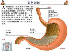 胃类癌瘤