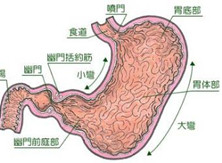 老年慢性胃炎