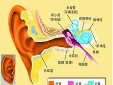 小儿分泌性中耳炎